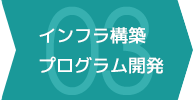 インフラ構築・プログラム開発