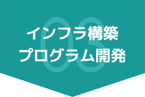 インフラ構築・プログラム開発